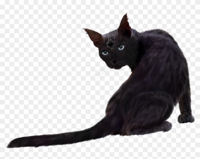 Black Cat Png Clipart - Black Cat Transparent Png #456705