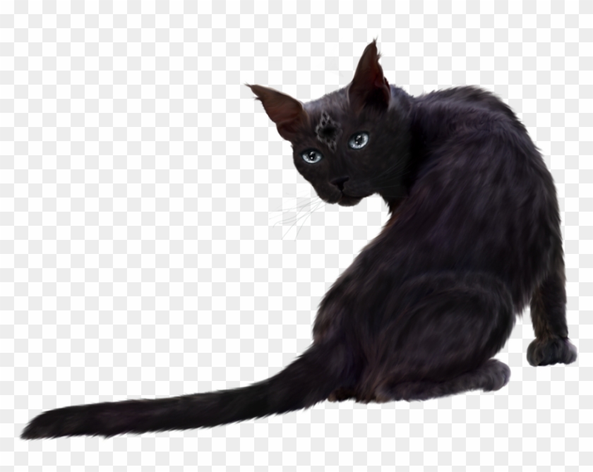 Black Cat Png Clipart - Black Cat Transparent Png