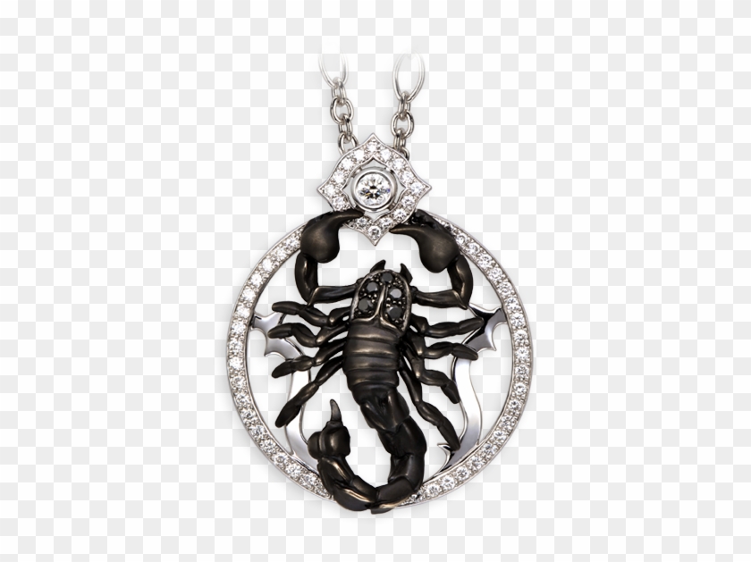 Necklace Scorpion - Pendant Clipart
