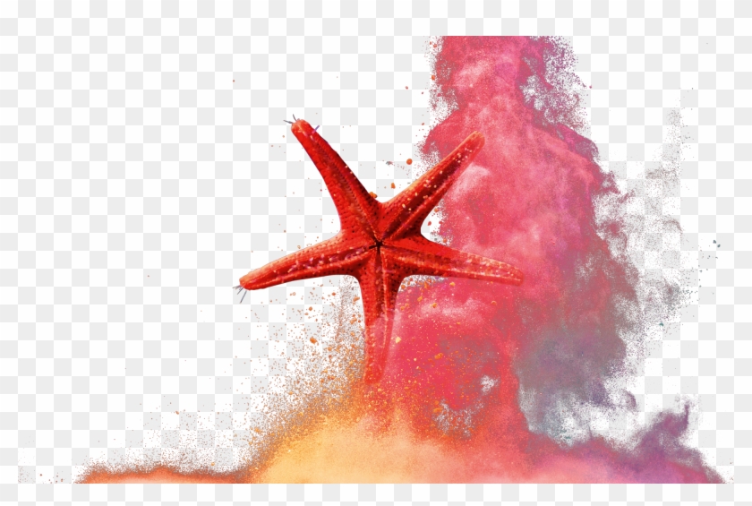 Sticks Without Adhesive Yupo Static - Starfish Clipart #457331