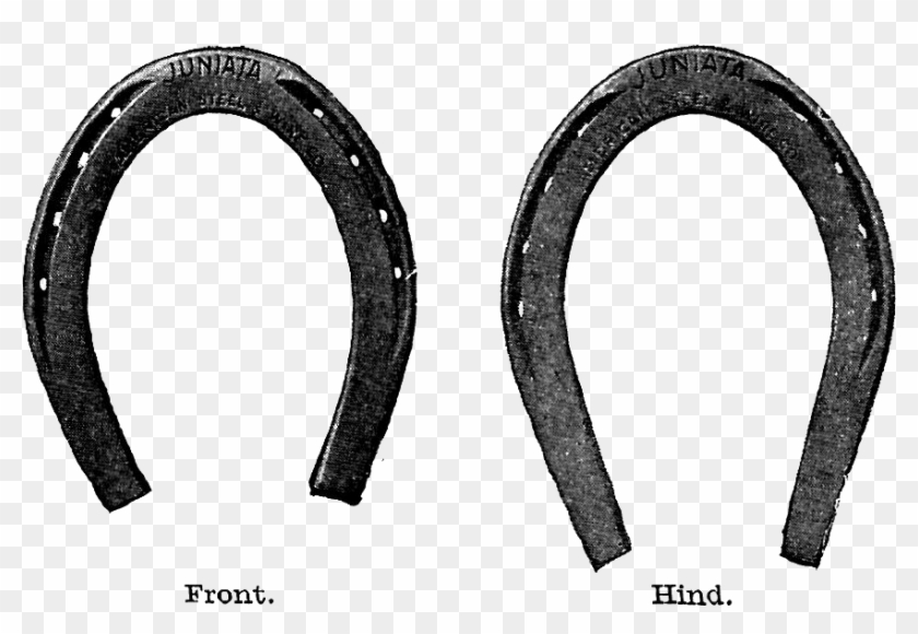 1165 X 805 15 - Circle Clipart #457827