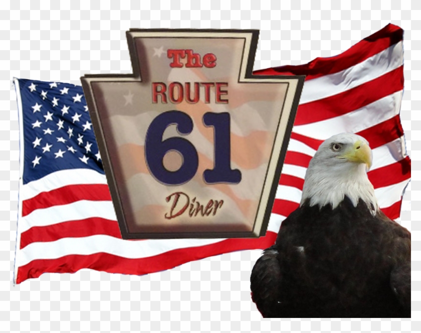 Bald Eagle Clipart #4500942