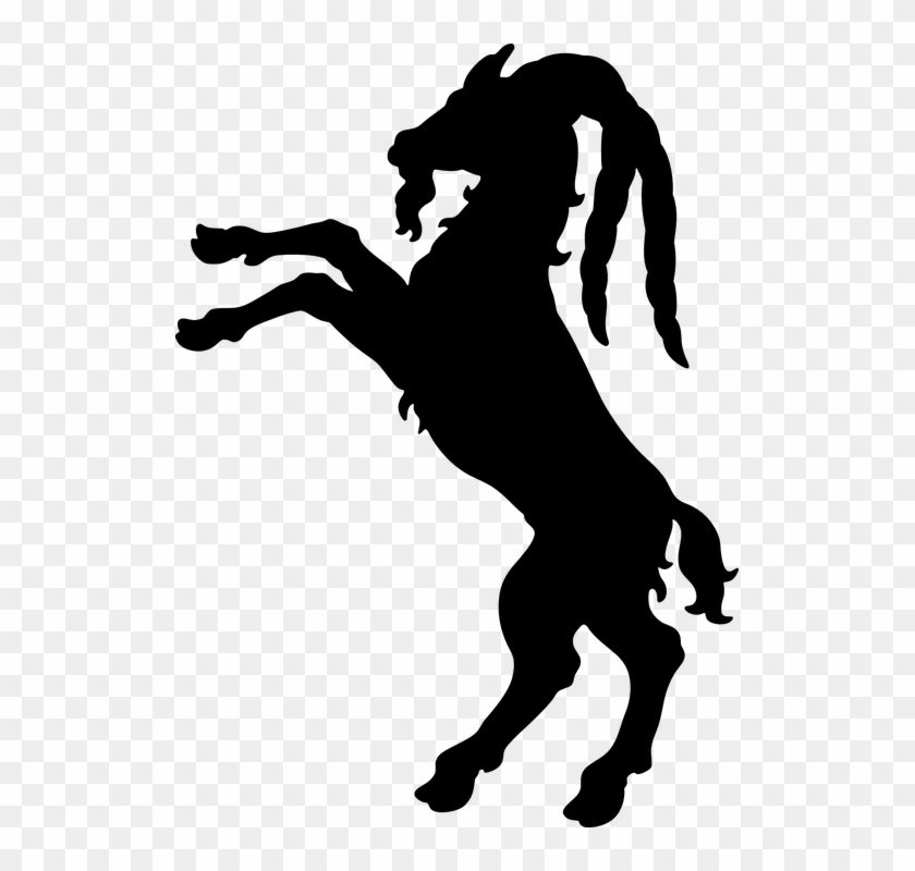 Billy Goat Goat Billy-goat Animal - Billy Goat Png Clipart