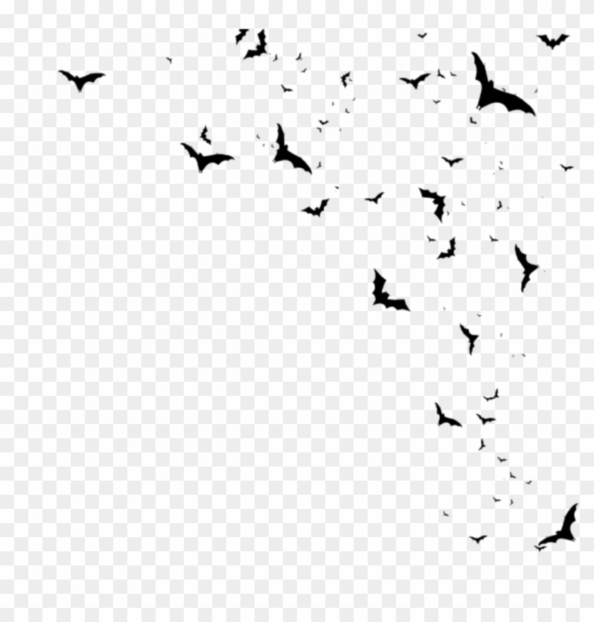 #bats #flying #birds #freetoedit - Png Bats Clipart #4501832
