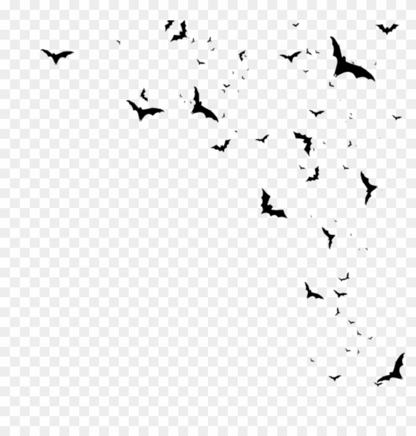 #bats #flying #birds #freetoedit - Png Bats Clipart