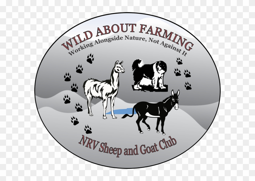 Dec 8, - Foal Clipart