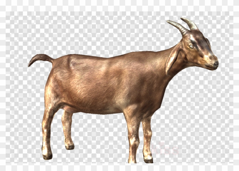 Goat Clipart Nigerian Dwarf Goat Oberhasli Goat Cattle - Clip Art - Png Download