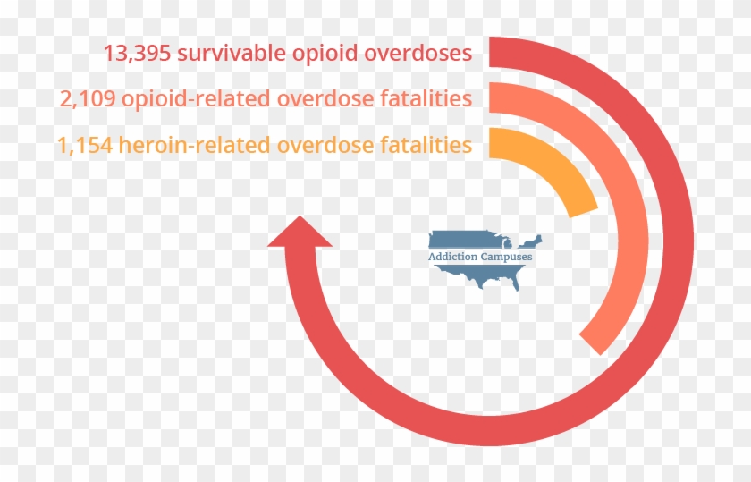 Com Illinois Opioid Overdoses - Addiction Campuses Clipart #4504601