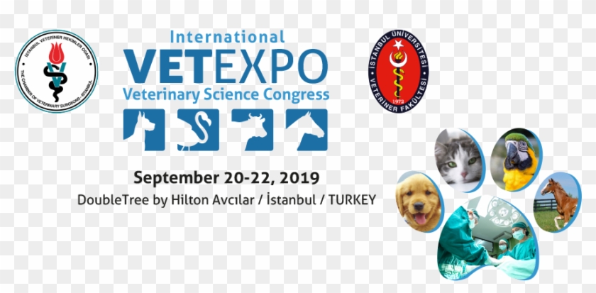 Uluslararası Vetexpo Veteriner Bilimleri Kongresi - Istanbul Üniversitesi Veteriner Fakültesi Clipart