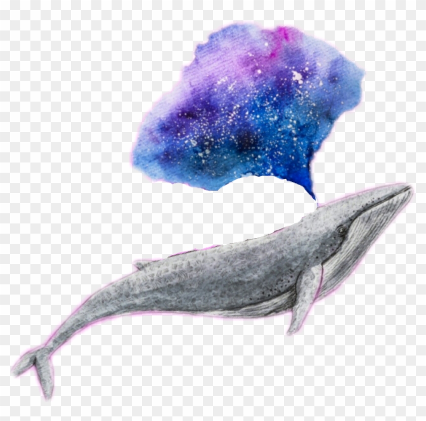 Galaxy Edit Challenge Tumblr - Png Whale Clipart #4506827
