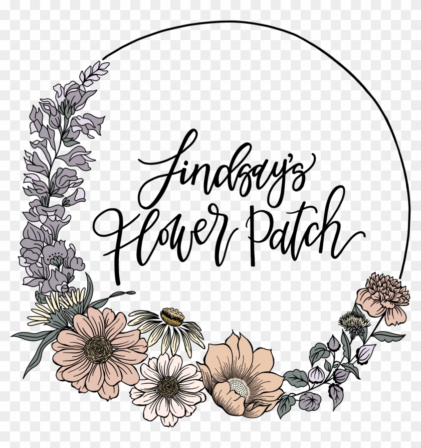 Flowers We Grow - African Daisy Clipart