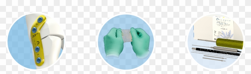 Image - Elephant Clipart #4507793