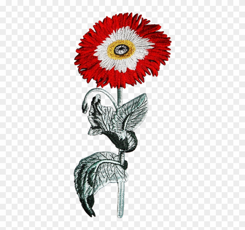 Standing Flower Embroidered Patch Straightly - Barberton Daisy Clipart #4507842
