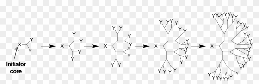 538 Divergent Synthesis - Divergent Method Of Dendrimer Synthesis Clipart