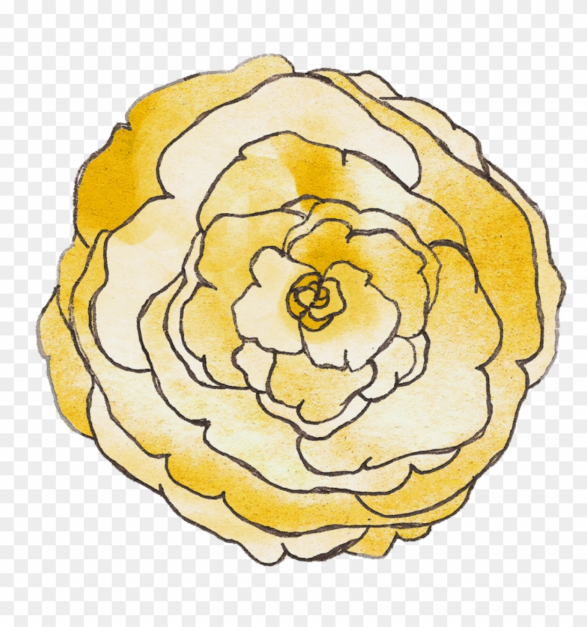 Texas Rangers Baseball Ticket First Birthday Invitation - Japanese Camellia Clipart