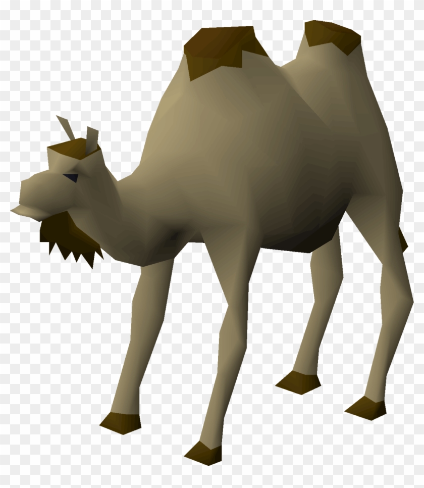 Arabian Camel Clipart #4510423