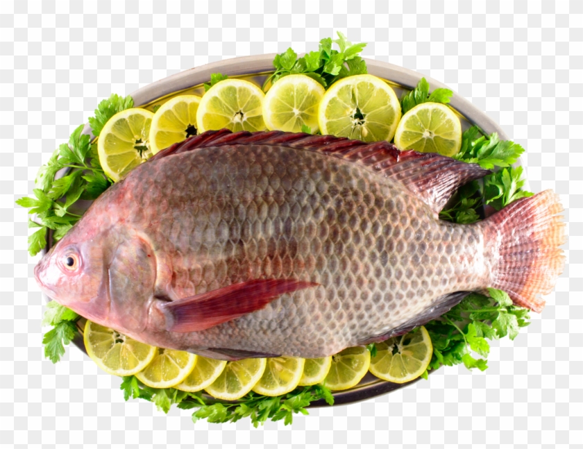 Tilapia Png Clipart #4510650