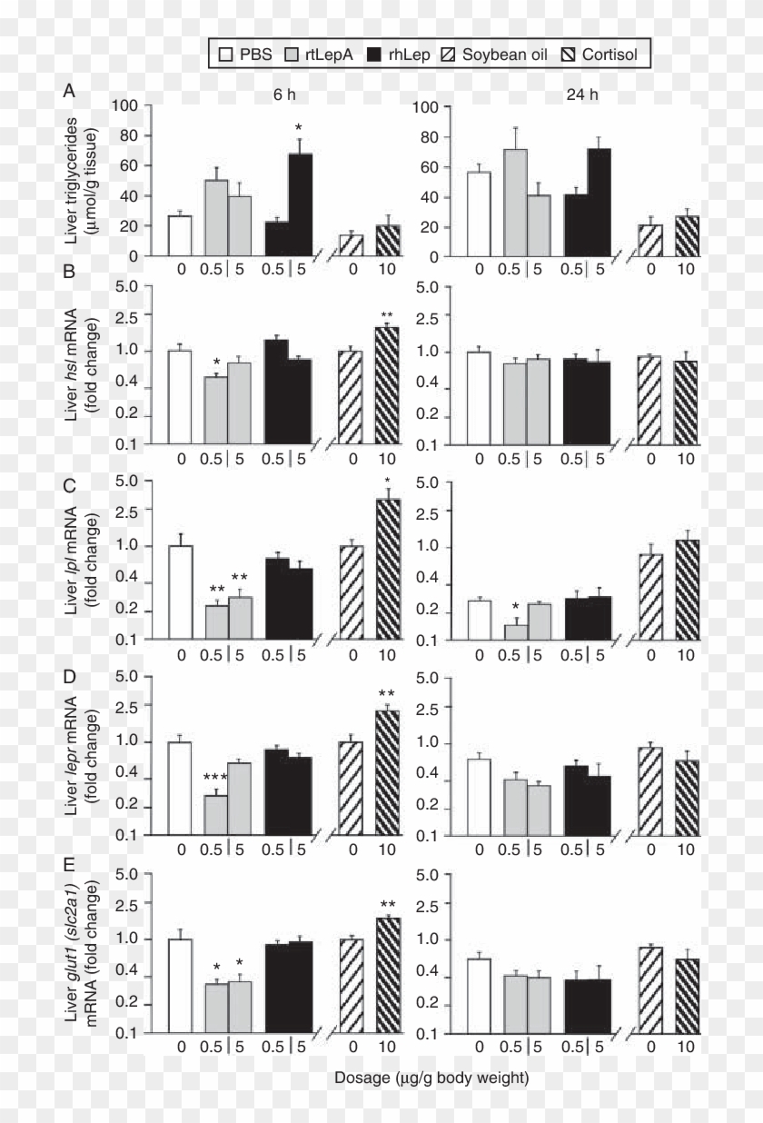 Effect Of Leptin And Cortisol Injection On Tilapia - Monochrome Clipart #4510699