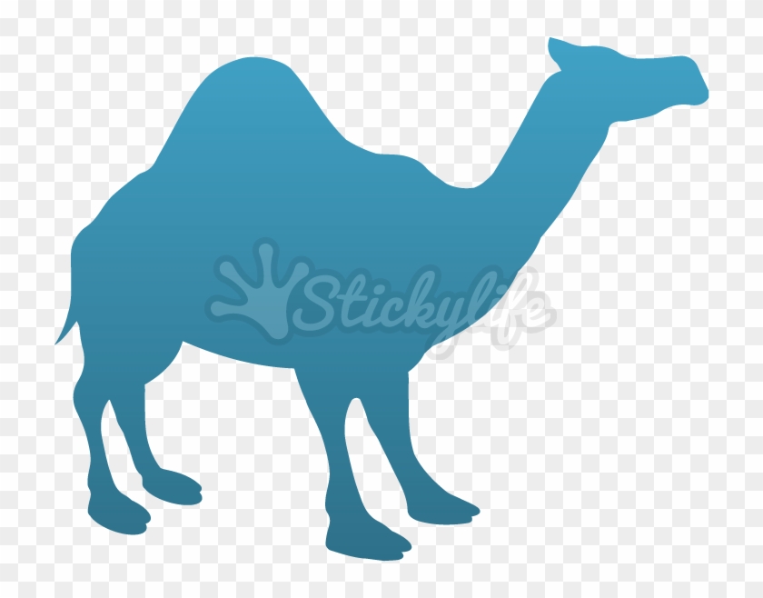 Arabian Camel Clipart #4510795