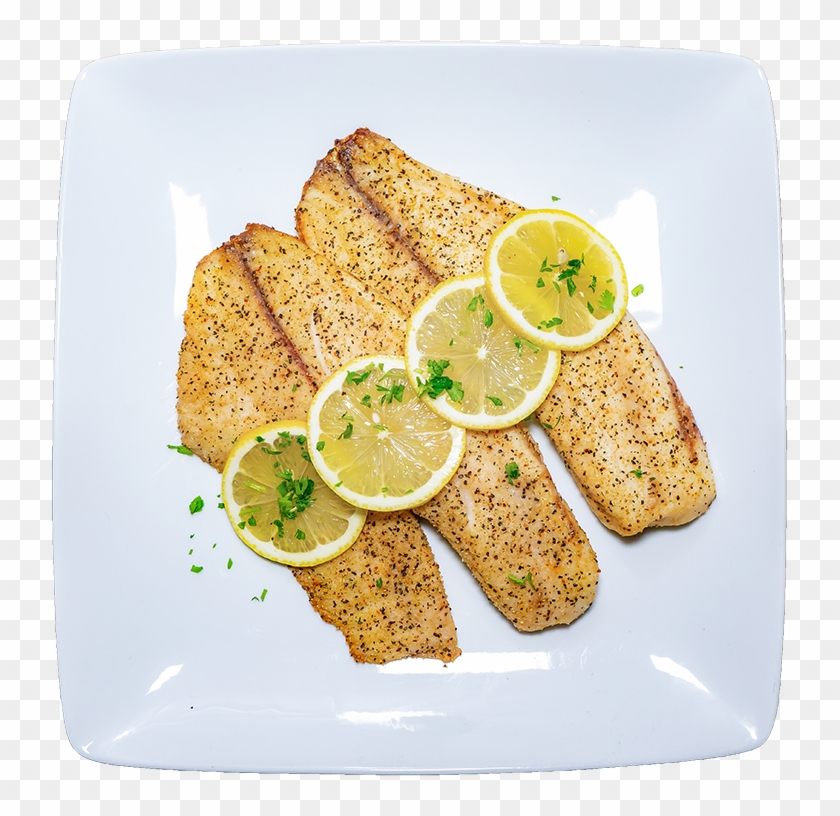 Tilapia - Fish Clipart