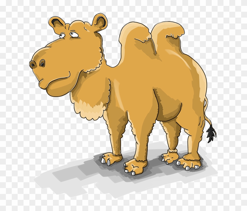 Camel, Cartoon, The Mehari, Nar, Dromedary, Steppe - Camello Cojito Gloria Fuertes Clipart #4510877