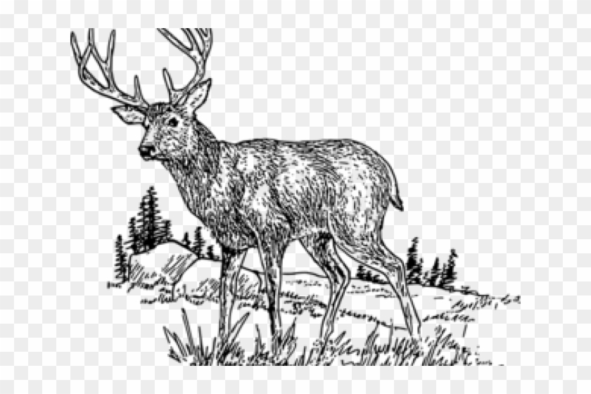 Jelen Clipart - Png Download