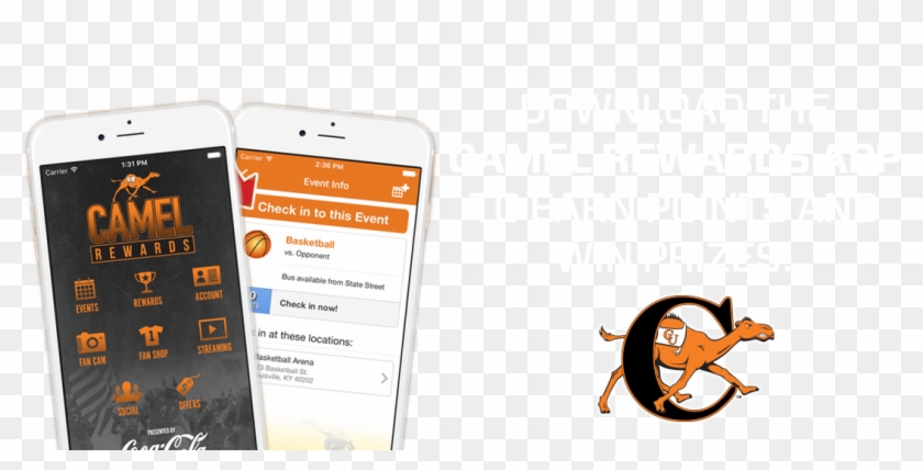 Camel Rewards - Campbell Fighting Camels And Lady Camels Clipart