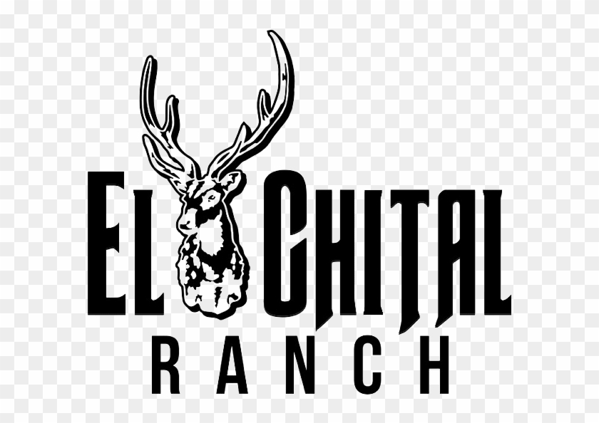 507 Acre “turnkey" Hunting Operation - Elk Clipart #4511617