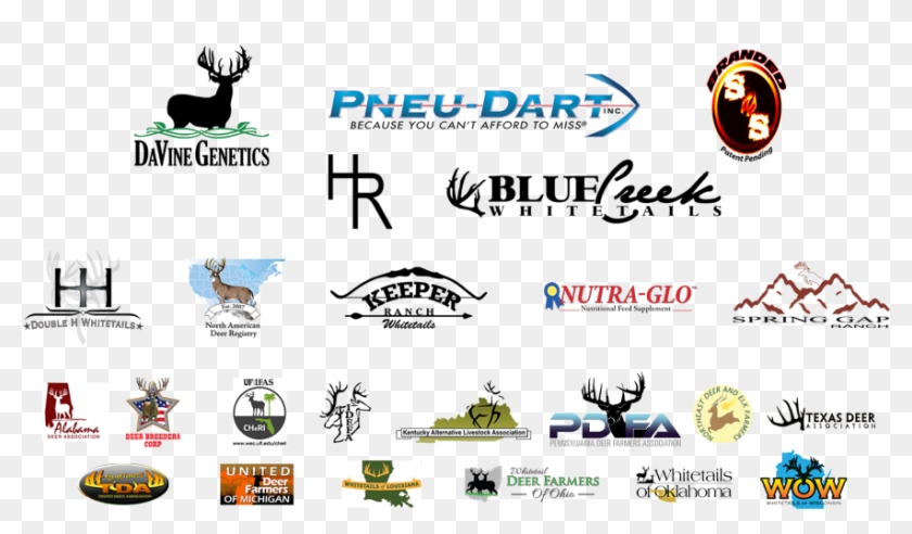 Our Sponsors - Nutra Glo Clipart