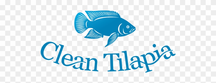 Cleantilapia Website - Bony-fish Clipart #4511840