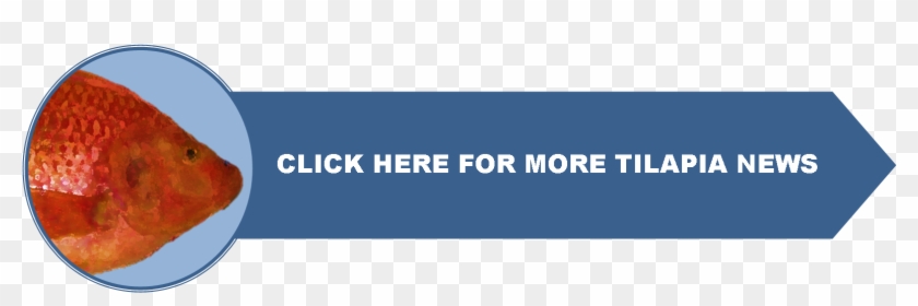 Main Page - Cobalt Blue Clipart