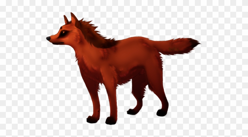 Robin Photo Robin Zpsc0c4d516 - Photobucket Icon Clipart