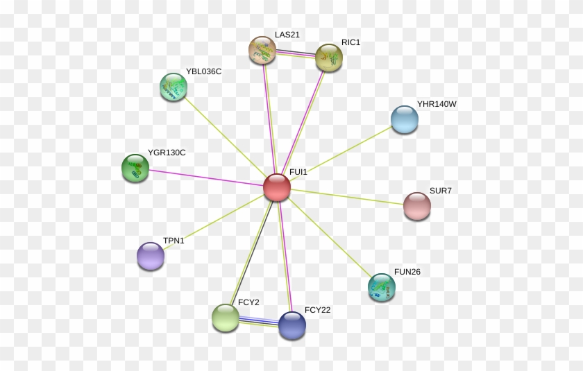 Network - Circle Clipart