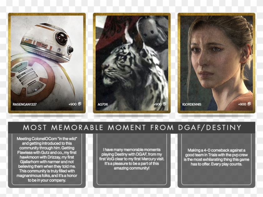 Click The Image To View The Entire Dgaf Grimoire Archives - Flyer Clipart