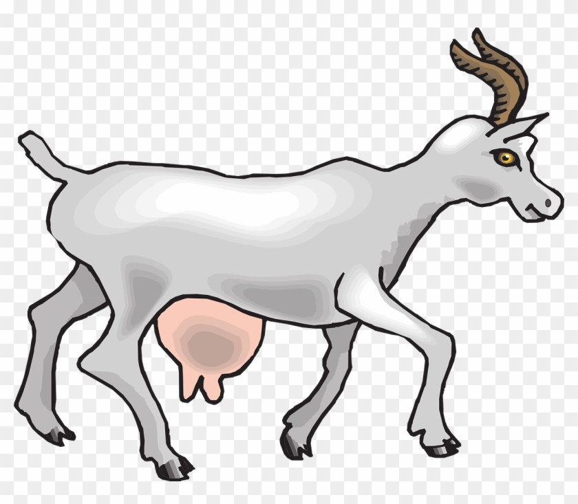 View Goat Side Walking Animal Png Image - Animals That Give Us Milk Clipart #4513242