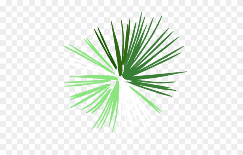Explosion - Saw Palmetto Clipart