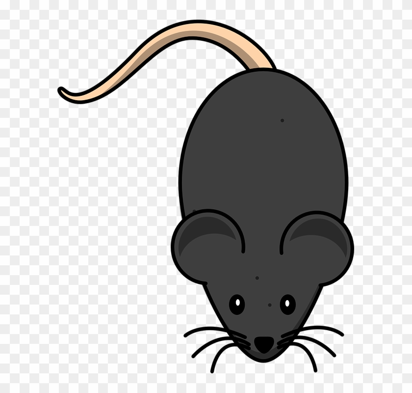 Rata Dibujo Png - Mouse Clip Art Transparent Png #4515993