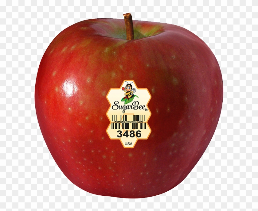 Apples Chelan Fresh Varieties - Sugar Bee Apple Clipart #4517080