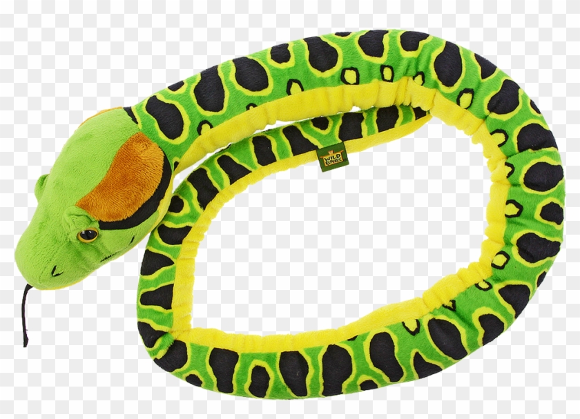 Snake , Png Download - Boa Clipart