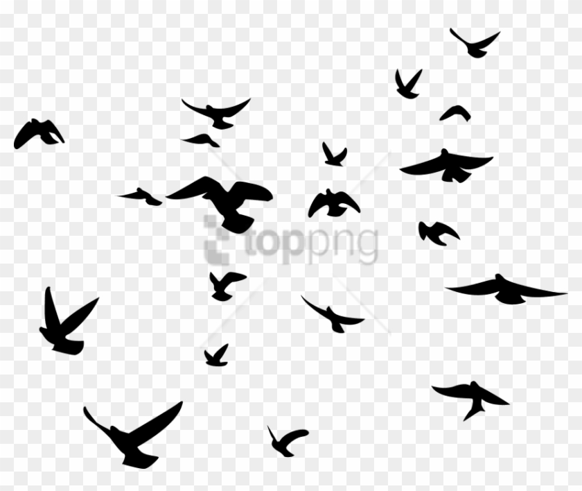 Free Png Black Birds Transparent Background Png Images - Black Bird Transparent Background Clipart #4517337