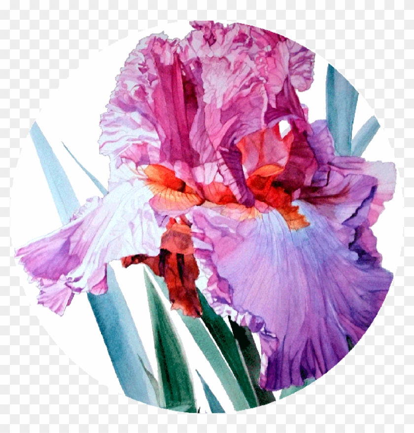 Round Ready To Hang Modern Art From Http - Watercolor Flowers Botanical Art Clipart