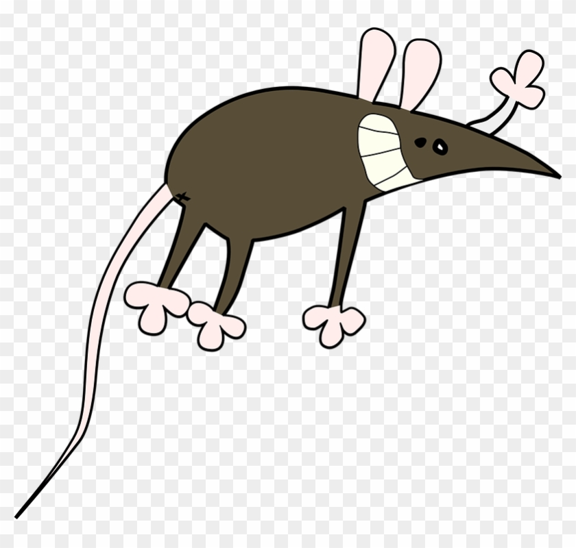 Del Ratón, Rata, Animales, Roedor, Laboratorios, Comic - Rat Clipart #4517547