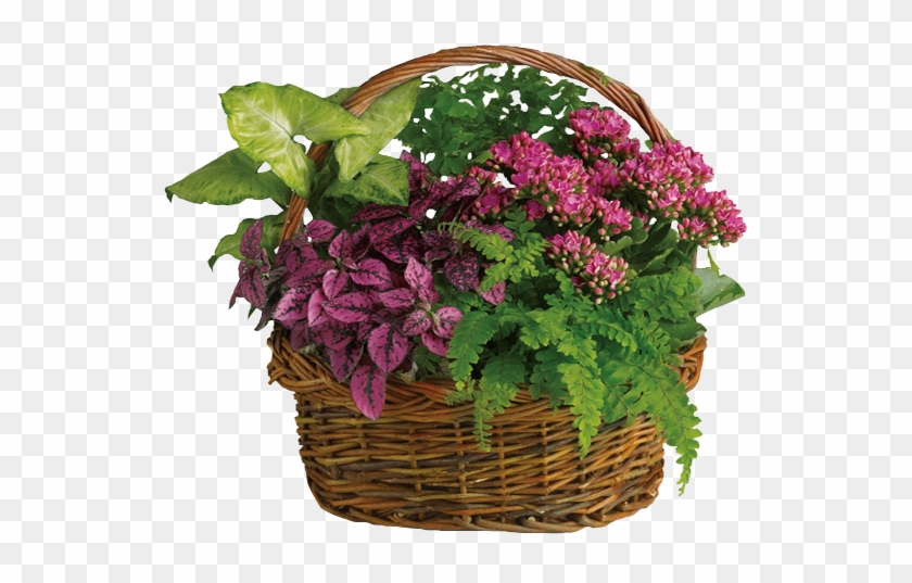 Blooming Plants In Wicker Basket - T96 2a Secret Garden Basket Clipart #4518357