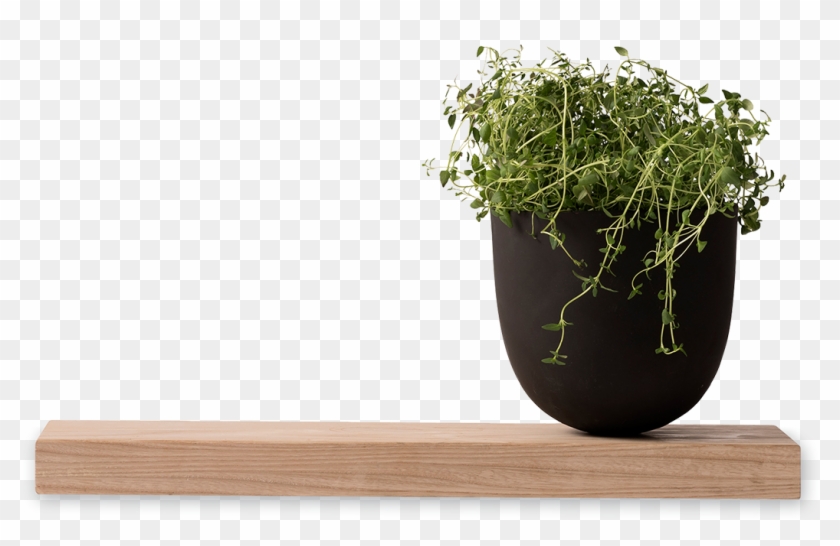 Pot Plants Png Kitchen Clipart