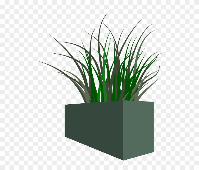 Pot Of Grass Png Clipart
