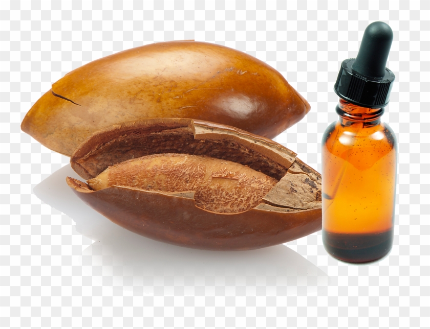 Hueso De Mamey , Png Download - Fruit Clipart