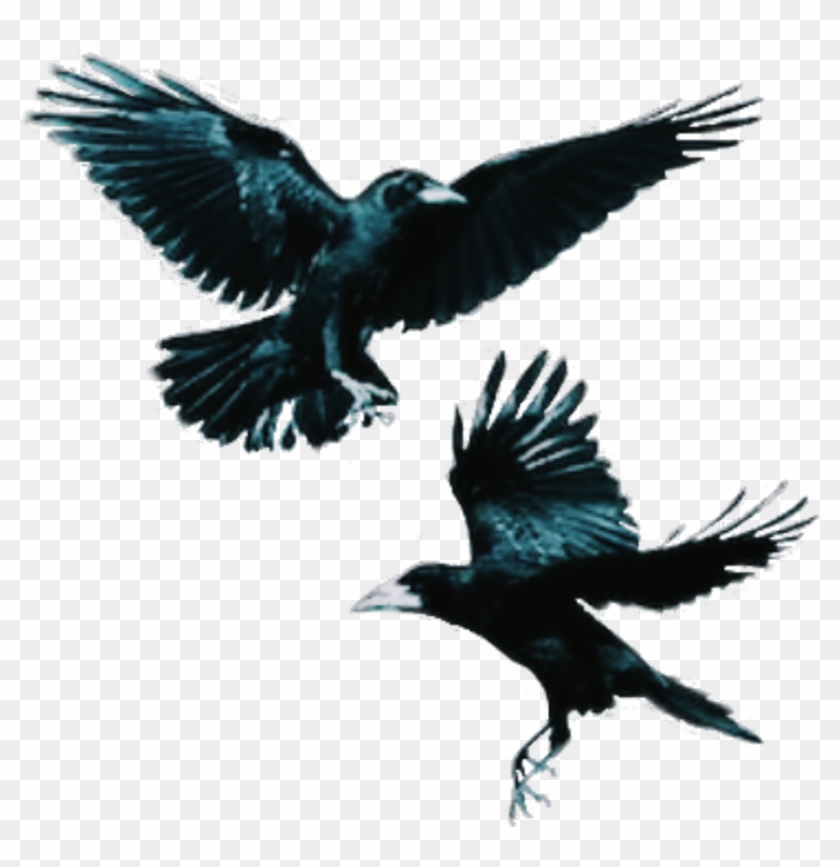 #crows #bird #flying #dark - Rook Clipart #4520349