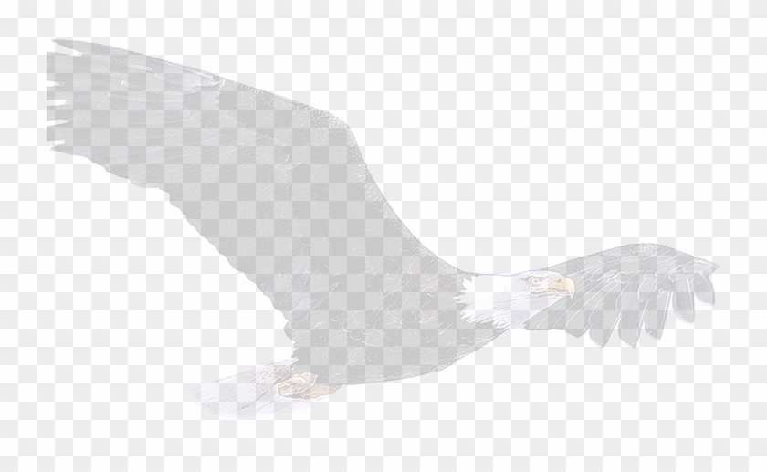 Bald Eagle Flying In The Sky - Bald Eagle Clipart #4520777
