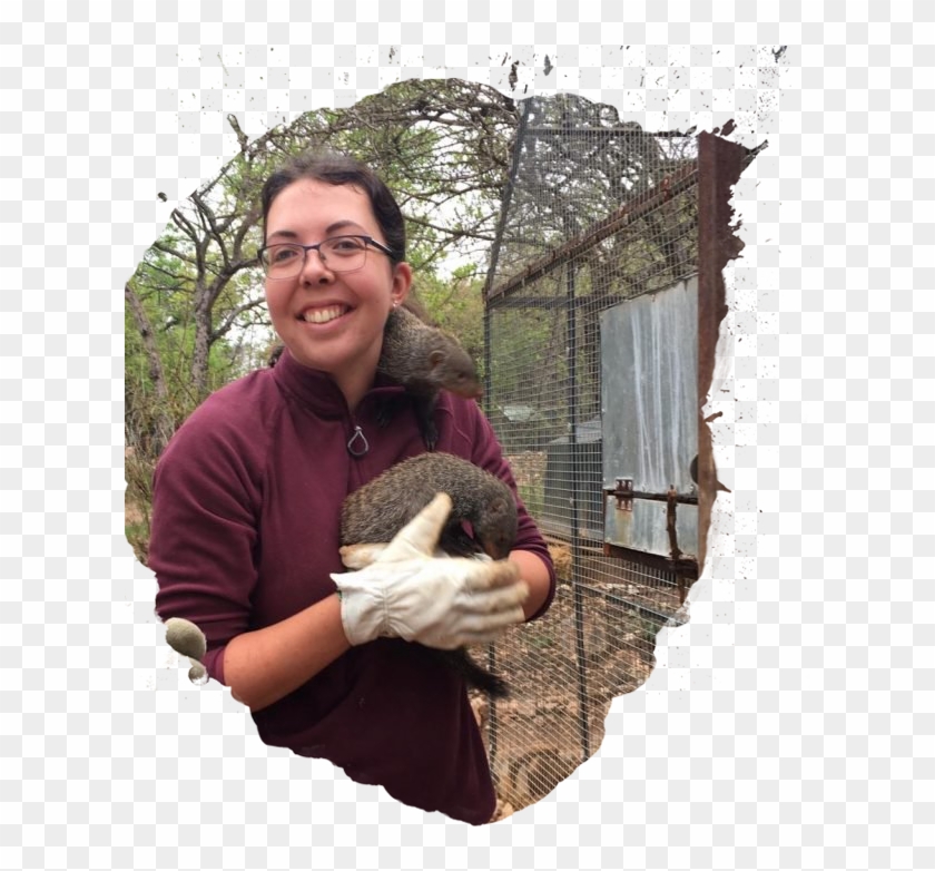 Emma Ruggles - Koala Clipart #4522716