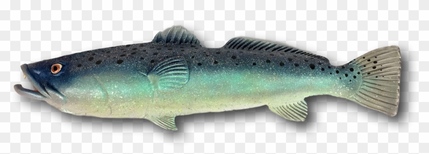 Paint Speckles Png - Trout Clipart
